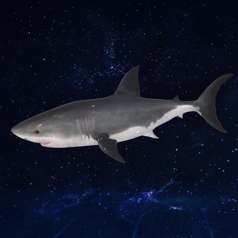 鲨鱼3D模型下载【glb格式】