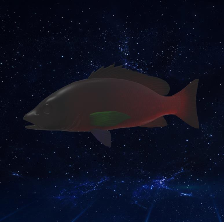 鱼3D模型下载【glb格式】