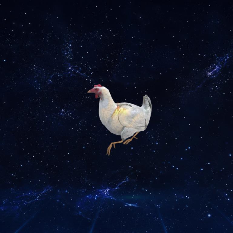 小鸡（有动作3D模型下载【glb格式】