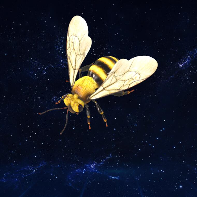 动画蜜蜂飞翔着陆循环3D模型下载【glb格式】
