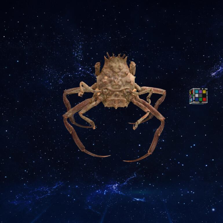 恶魔脸螃蟹3D模型下载【glb格式】