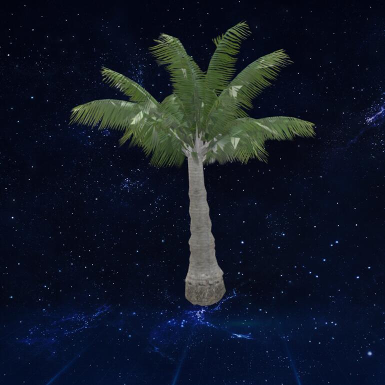 年轻的棕桐树3D模型下载【glb格式】
