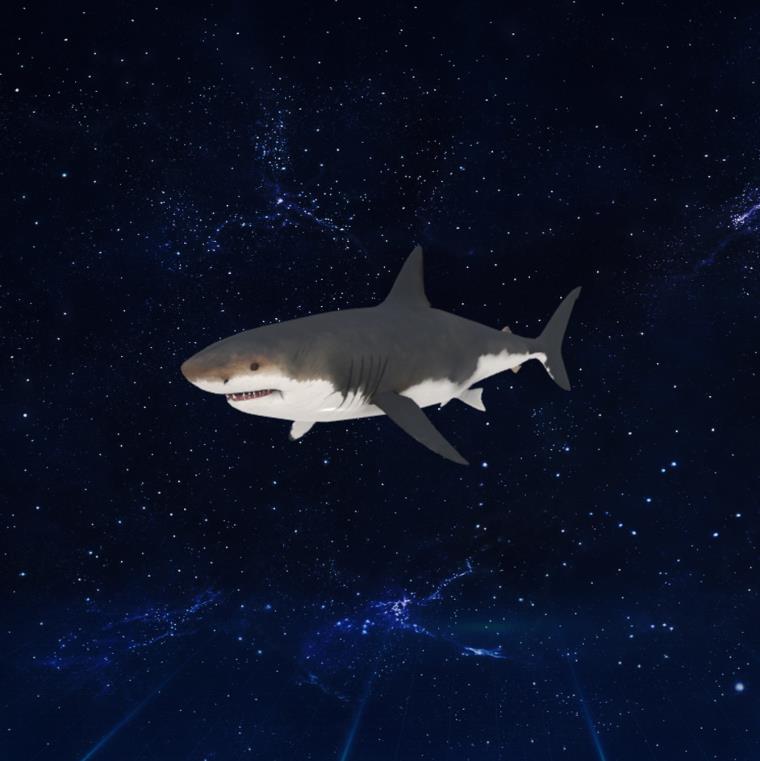 大白鲨【glb格式】