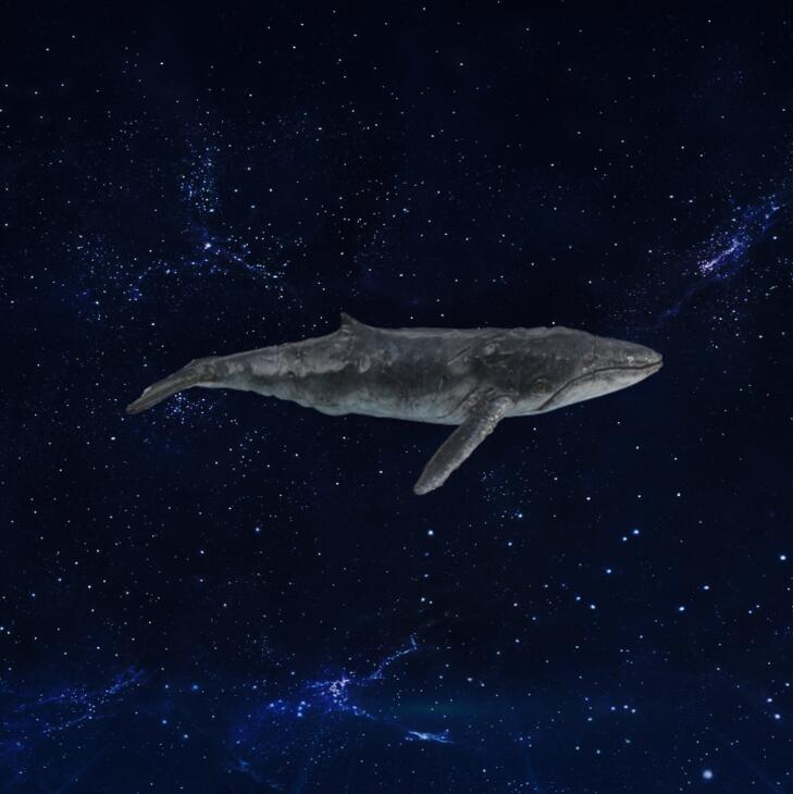 鲸鱼模型3D模型下载【glb格式】