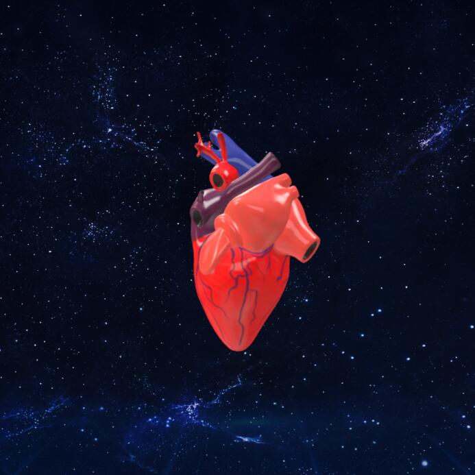 心脏模型3D模型下载【glb格式】