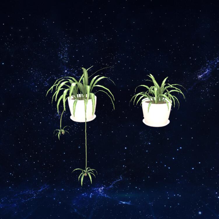 蜘蛛植物模型3D模型下载【glb格式】